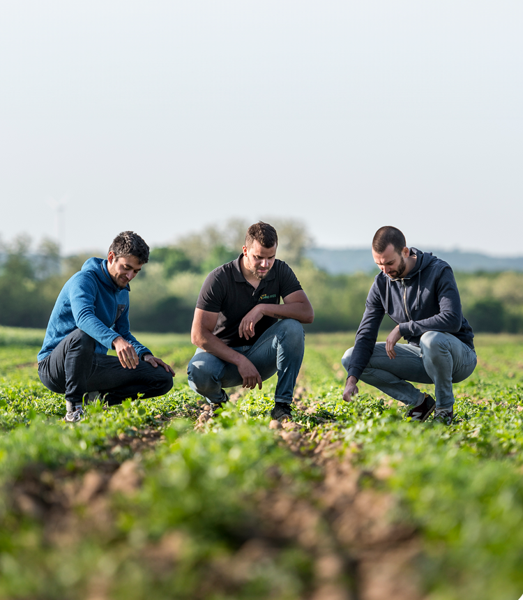 Transparence alimentaire